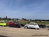 Zandlemig Vlaanderen